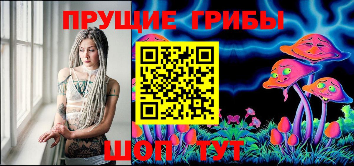 Псилоцибиновые грибы Psilocybine cubensis  Вход с VPN  Санкт-Петербург 