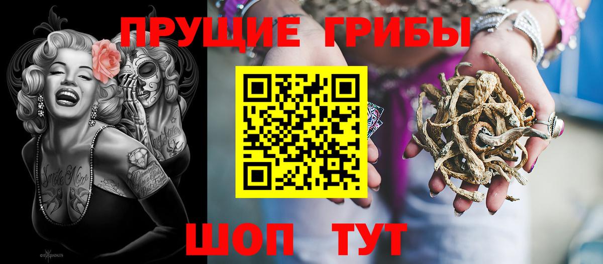 Галлюциногенные грибы Cubensis Санкт-Петербург